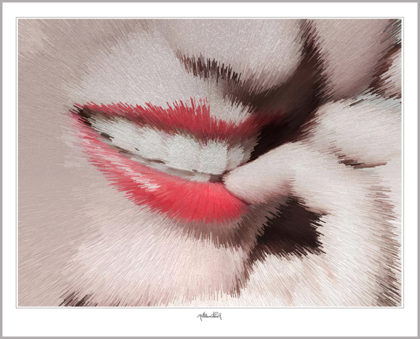 Zahnarzt, Dekoration, Wartezimmer, Wandbilder, Kunst, Poster, Inneneinrichtung