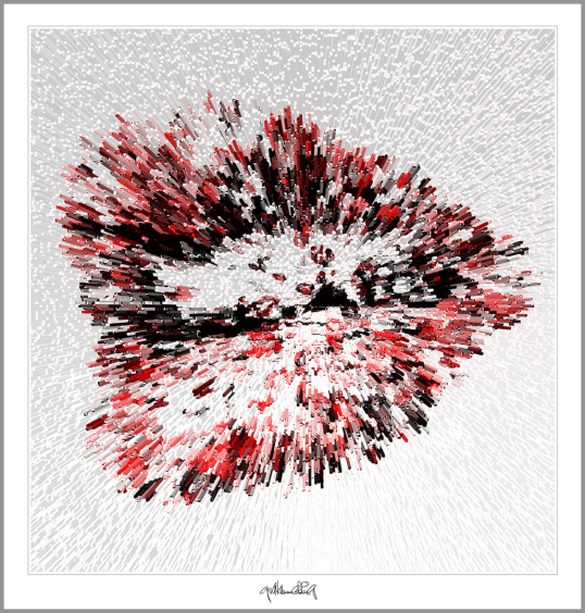 Kunst, Galerie, zeitgemäße-Kunst, moderne-Pop Art, Lippenkunst,