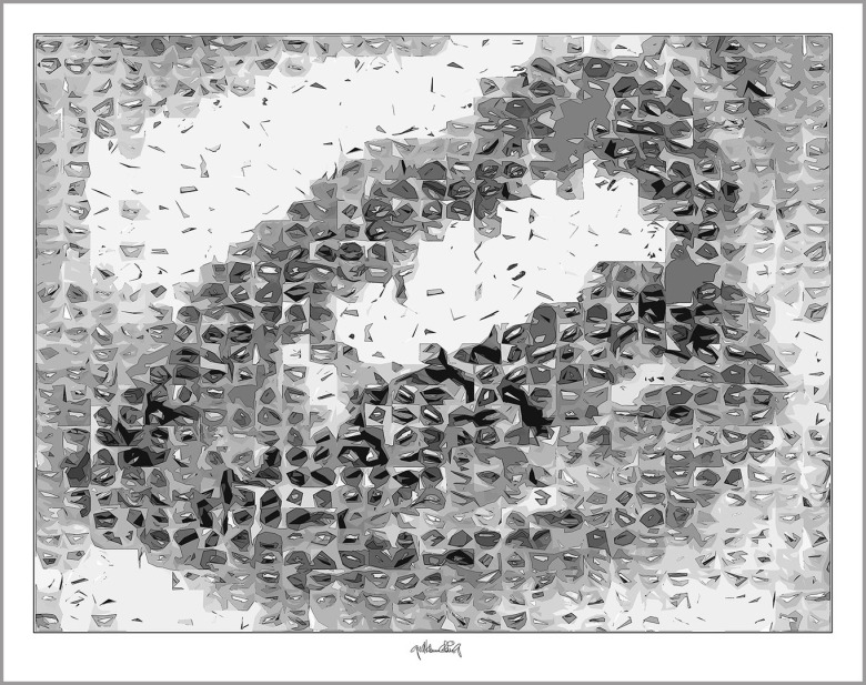 Bilder  Kunst Zahnarztpraxis